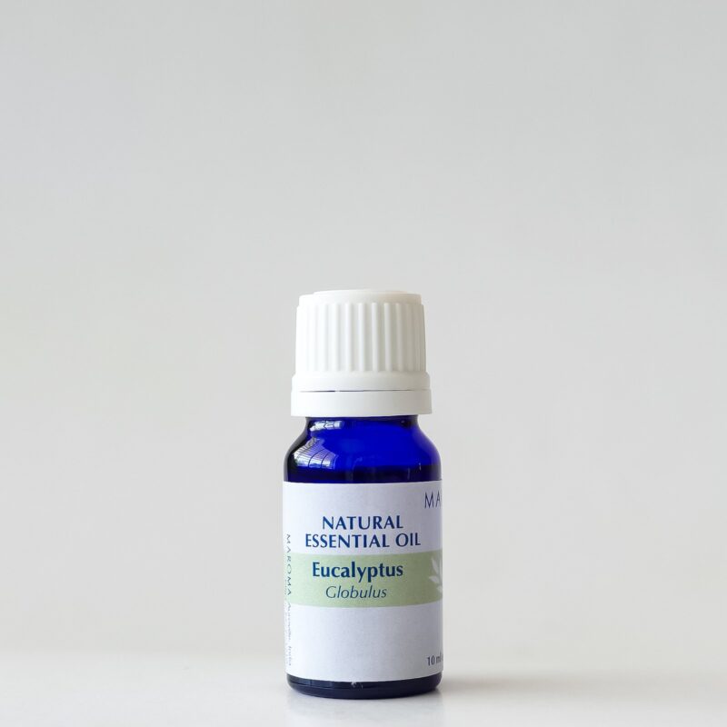 Prana Essentials Eucalyptus Globulus Essential Oil 10 Ml